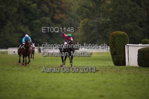 ET0Q1148 prot